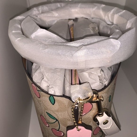 NWT Coach Mollie Bucket Bag In Signature Canvas With Heart Cherry Print - CE611 - Picture 4 of 13